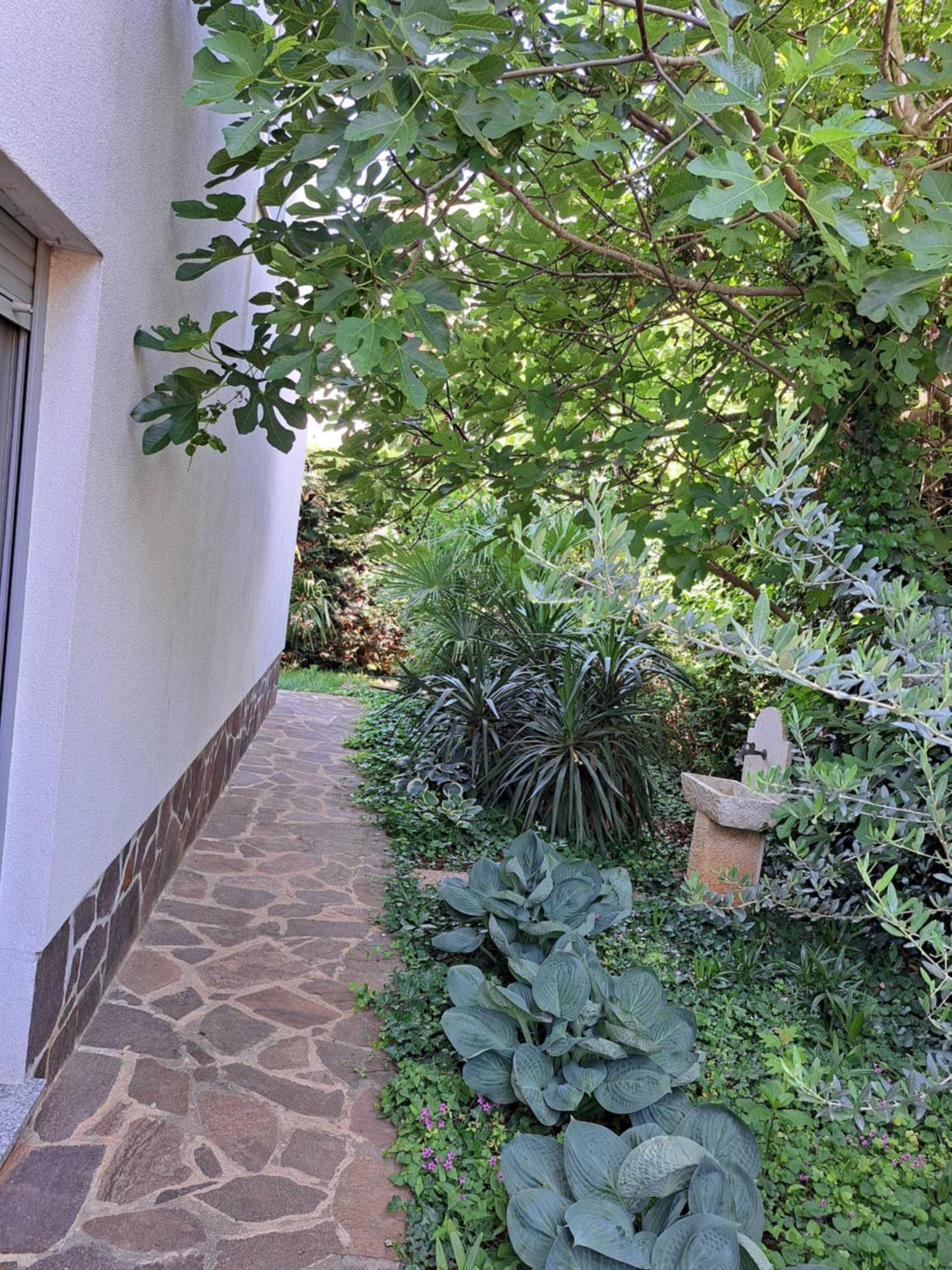 Apartment Umago Exterior foto